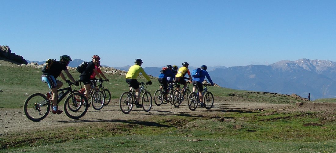 Actividad de monte 1